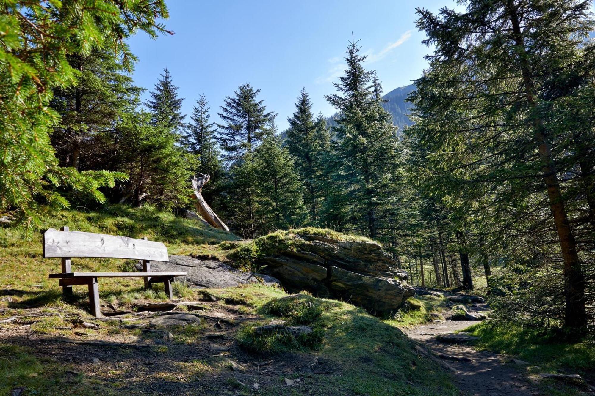 Ferienwohnung Innerhofer Hollersbach im Pinzgau Zewnętrze zdjęcie