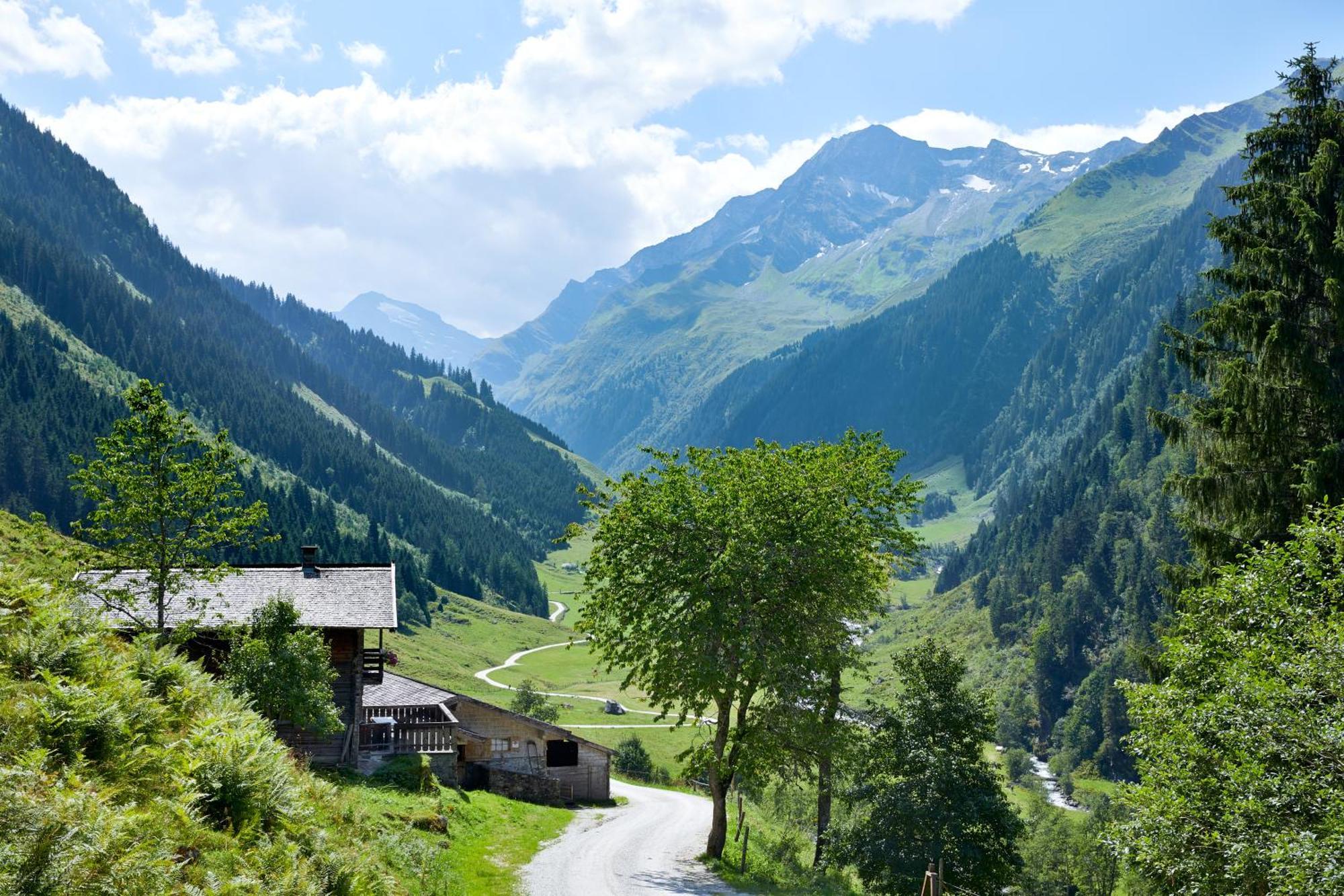 Ferienwohnung Innerhofer Hollersbach im Pinzgau Zewnętrze zdjęcie